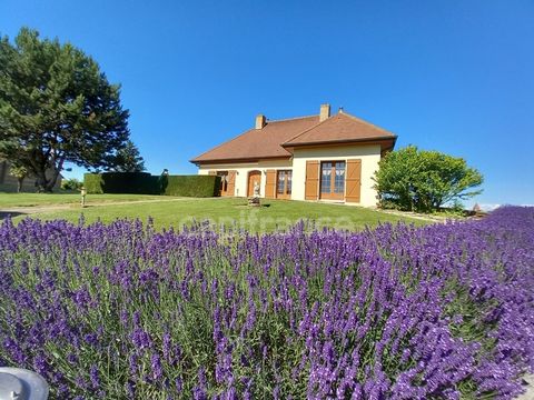 Belle propriété de 9 pièces au calme