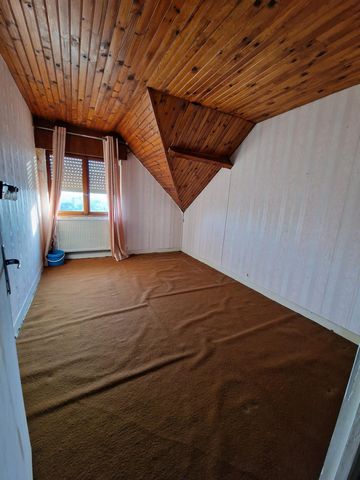 photo no. 11