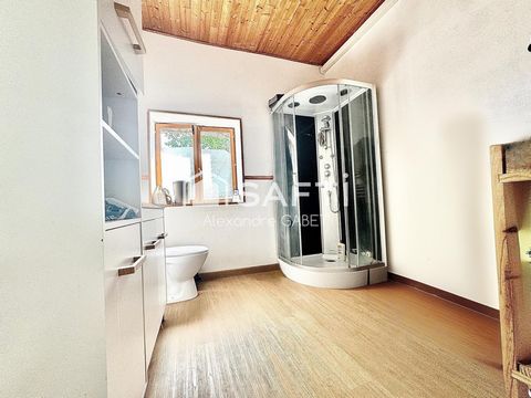 photo no. 12