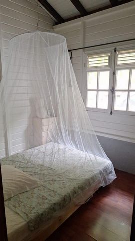 photo no. 16