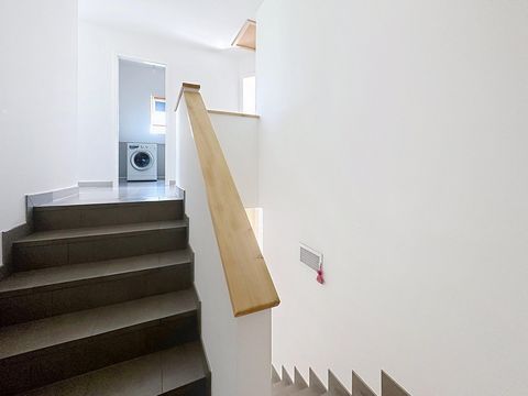 photo no. 12