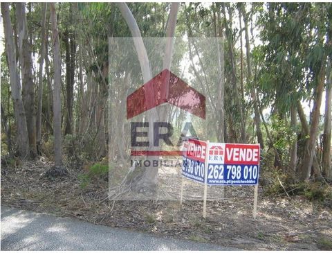 Plot of land in Casais de Mestre Mendo - Peniche. With 16,560 sq.M of total area. Well located. Excellent access to the IP6 expressway and the A8 motorway. *The information provided is for information purposes only, not binding, and does not exempt i...