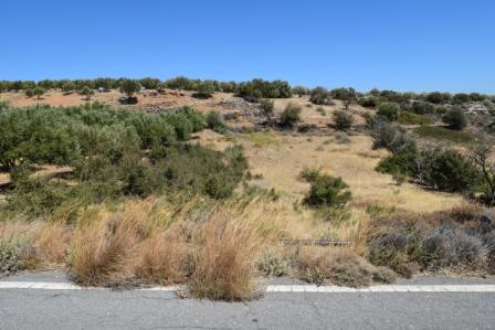 Pefki Plot of land of 2000m2 for agricultural use. It is also ideal to park a caravan or garden. It enjoys views to the sea and mountain and the water and electricity are nearby. Lastly, the property the plot has street parking.