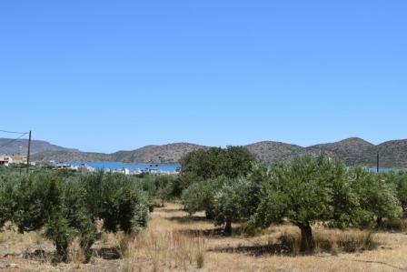 Elounda Plot of land with sea views in Elounda. The plot is 4000m2 and can build up to 200m2. The water and electricity are nearby and has street parking. Lastly, it enjoys views to sea and mountain.