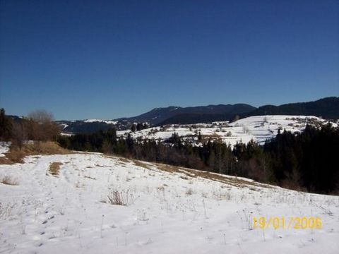 TEL: ... ; 0301 69999/WIR BIETEN GRUNDSTÜCK IM DORF GELA 6,5DECARES., VERORDNUNG . NACH SÜDEN AUSGERICHTET UND EIN UNGLAUBLICHES PANORAMA, MIT BLICK AUF DAS DORF SOLISHTA, DEN TURM 