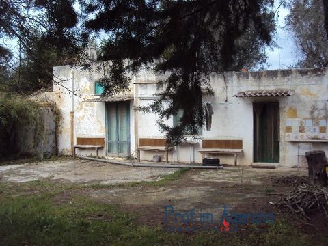 Interesting lamia to restore. It is situated on a level land with olive grove, orchard and almond trees. The lamia is located in a central area, betweeen the city of Oria, San Michele and Latiano; equipped and all services. The area is fenced through...