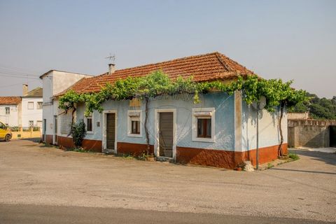 Property for sale quiet area. Two villas for sale, one of them in need of total works, located in Arneiro das Milhariças (Pernes) located in a quiet area and with very good access to Lisbon, Santarém, near the river Alviela. Easy access, public trans...