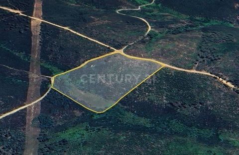 Rustic land with a 1.4 Ha in Paul Village, Covilhã. Suitable for arable and pine forest. With well. Excellent sun exposure and magnificent views of Serra da Estrela. Contact us for more information and book your visit.