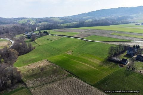 Large building plot in a quiet location - 1 Building plot for sale - Zwiernik 1 This time our real estate agency would like to present you a building plot for sale, which will be a very good choice for people looking for a place characterized by a la...