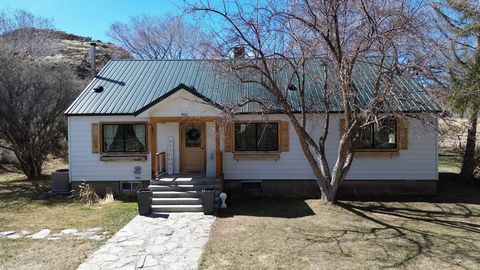 Here is a unique offering right on the edge of the quiet, quaint mountain town of Challis, Idaho. Within walking distance of downtown Challis, and its restaurants and entertainment options while maintaining a more remote, out of the way feel. Horse p...