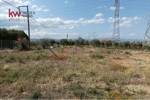 Exclusively for sale from our office, plot of 1200 m2, in Eretria, Magoula area. The plot in question is even and buildable, building 50 + 50 m2, on two levels.In a privileged position, just 400 meters from the sea in an area with many detached house...