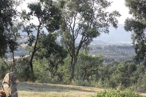 La maison de campagne est sur le plateau d'une colline, entourée d'une grande prairie borde de chênes en chêne et en liège. Vous pouvez voir Massa Marittima avec les montagnes Montieri et Le Cornate dans l'arrière-pays, et le paysage toscan doucement...