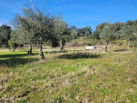 Detached farm with 8900m². Location close to Alpedrinha. Highlight for the 2 wells and for the fertile and cultivated soil (Olive Trees). It also has an approved construction project. The accesses are in tar and dirt. Stunning mountain views. Feature...