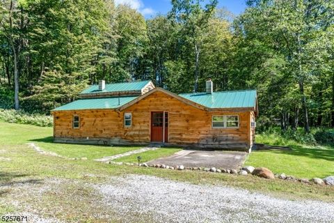 Unique Custom Cottage on quiet road surrounded by beautiful acres of nature. This move in ready cottage has newer metal roof, live edge siding, new carpeting, updated bathroom, working wood stove, Navien Insta Hot Water, full house water filter, deta...