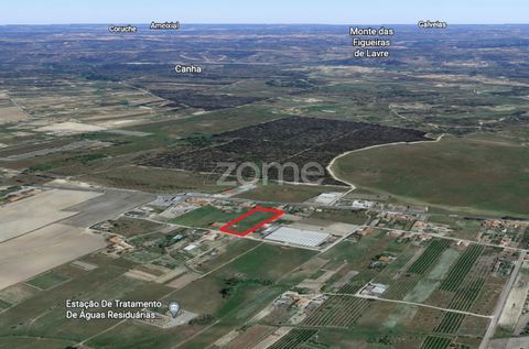 Property ID: ZMPT546363 Versatile terrain inserted in an industrial zone, with 4862m2. in Canha, on the municipal road, Montijo Urbanized land, prepared for construction of housing or services No slope whatsoping. Deployment allowed area: 600m2 Area ...