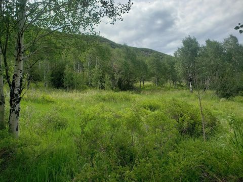 Oak Creek Station is a fantastic 35 +/- acre tract of undeveloped land with .67 mile of Oak Creek meandering through it, tremendous access via CO State Hwy 131 and Routt Co Rd 179 only a short 20 minute drive to Steamboat Springs and an hour from the...