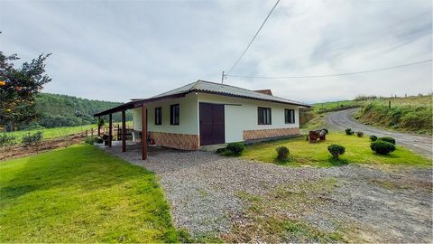 Farm with Houses for Sale of 205,000.00 m² highly productive with house, inn and feedlot With 170,000.00 m² of floor area and approximately 140,000.00 m² for mechanized planting Located in Witmarsum Santa Catarina, it is only 20 minutes from the city...