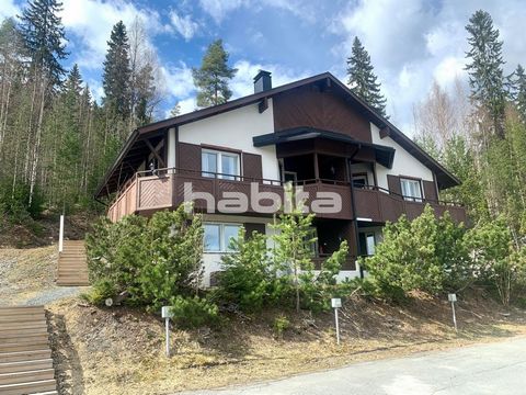 Leisure apartment, every year for 8-9 weeks for vacation. A furnished and decorated apartment on the first floor of an alpine house in a prime location in the heart of Tahko. Near ski lifts, snowmobile trails, restaurants, Tahko's beautiful nature an...
