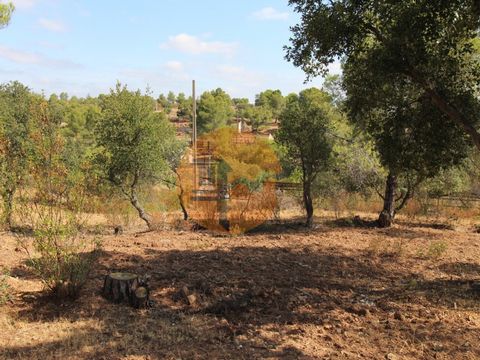 Terreno misto de 11 hectares em Odeleite. Integra uma moradia, estruturas industriais e plantação de pinheiros. Localiza-se junto à aldeia de Odeleite e do reservatório da barragem. Este terreno beneficia de umas vistas fantásticas e é ideal para con...