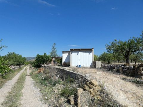 Total surface area 4938 m², rural property plot area 4938 m².