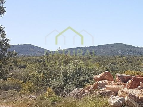 Property of 4.93 hectares with characteristic regional trees, easy access, and all-day sun exposure. This rustic land, with a generous total area of 49,300m² (4.93 hectares), is located just 800 meters from the center of São Brás de Alportel. It cons...