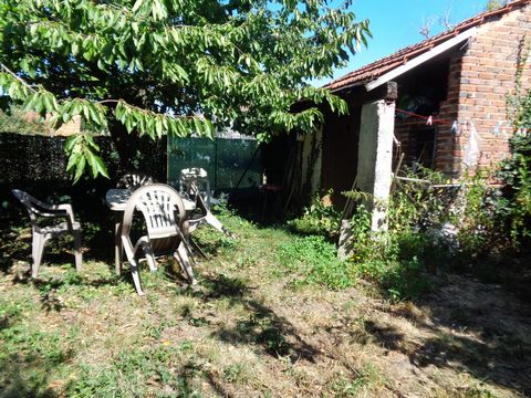 photo no. 2
