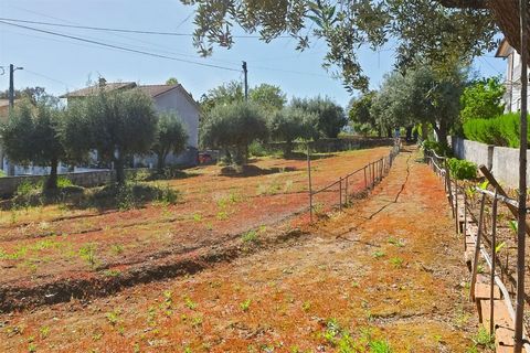 Städtisches Grundstück von 3171m² mit Wohnungen von 50m², in Vila Nova Poiares. Das Haus ist 50 Meter lang, verfügt über 3 Schlafzimmer. Mit einer privilegierten geografischen Lage, da eine der Fronten ganz in der Nähe der mythischen Nationalstraße 2...