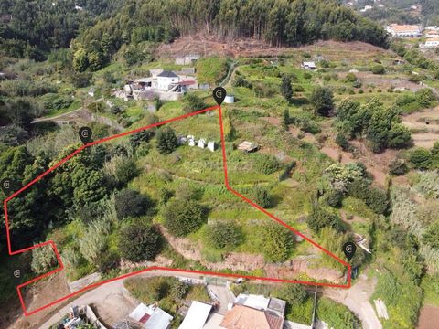 Do you value tranquility and connection to nature? Incredible land located in Santa Cruz. With a generous area of 2901m2, it offers the perfect space to build your dream home or invest in a promising project. The privileged location provides stunning...