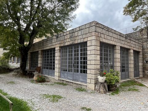 photo no. 10
