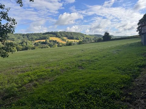 photo no. 2