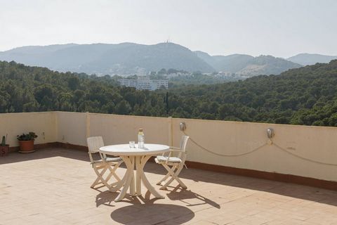 Dans ce penthouse à El Terreno de Palma, la terrasse de 148 m² avec vue à 180 degrés se distingue. La propriété offre trois chambres et deux salles de bains, un salon et une salle à manger à aire ouverte avec cuisine intégrée et vue sur la nature, en...