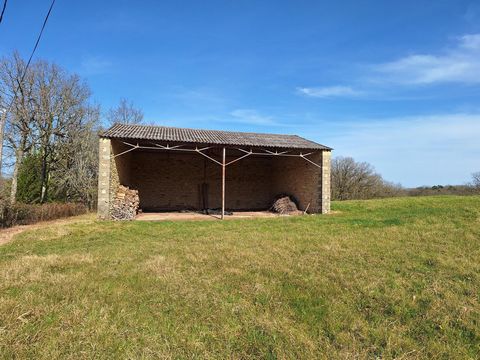 photo no. 2