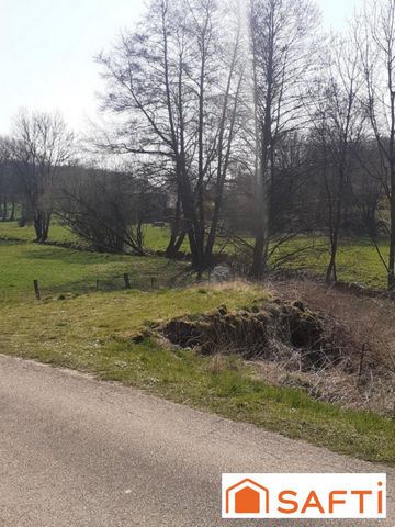 photo no. 8