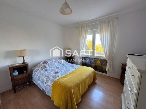 photo no. 15
