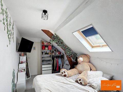photo no. 11