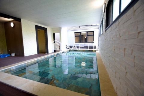 photo no. 9