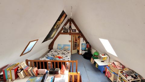 photo no. 13