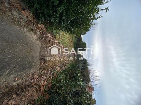 photo no. 12