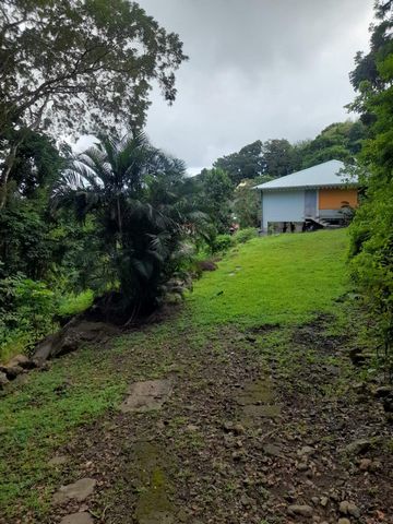 photo no. 10