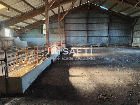 photo no. 14