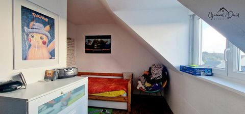 photo no. 11