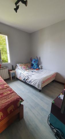 photo no. 9