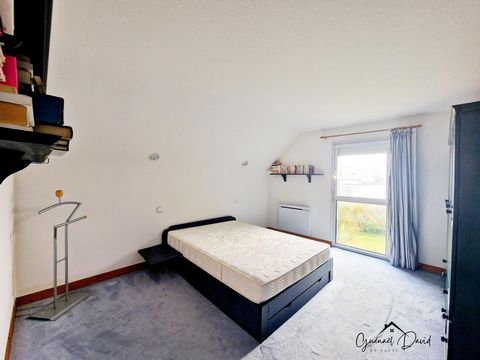 photo no. 15
