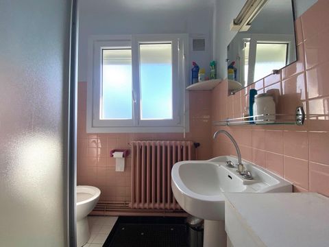 photo no. 8