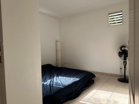 photo no. 6