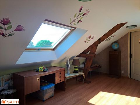 photo no. 8