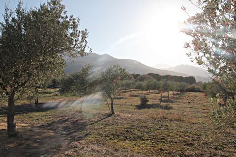 photo no. 19