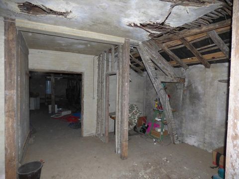 photo no. 12