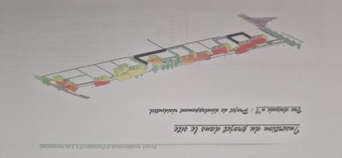 photo no. 4