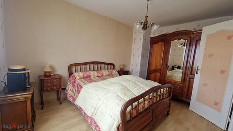 photo no. 6